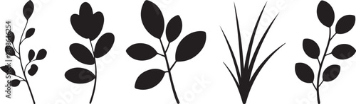 Set of leaves silhouette of beautiful plants, leaves, plant design. Vector illustration