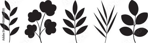 Set of leaves silhouette of beautiful plants, leaves, plant design. Vector illustration