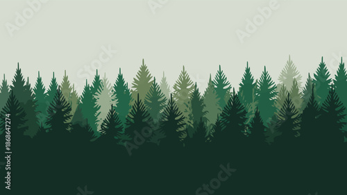 A tranquil forest landscape features many different green pine trees in a beautiful natural outdoor scene