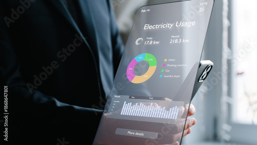 Cuadro en lienzo Real-time energy consumption analytics on your smartphone screen, energy efficie