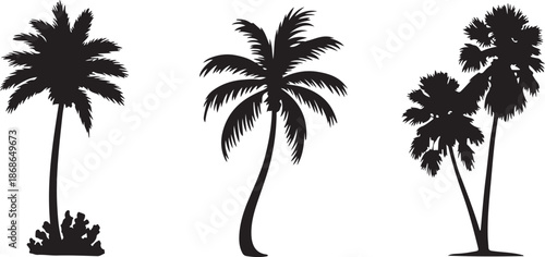 Tropical coconut, palm tree silhouette