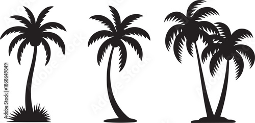 Tropical coconut, palm tree silhouette