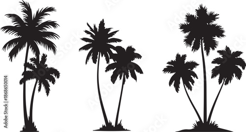 Tropical trees for design about nature. Set of palm trees silhouettes. Vector illustrations isolated on white background