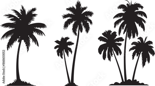 Tropical trees for design about nature. Set of palm trees silhouettes. Vector illustrations isolated on white background