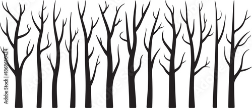 Vector black silhouette of a bare tree