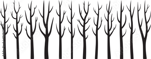 Vector black silhouette of a bare tree