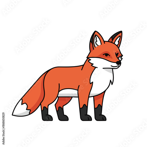 A cute red fox vector illustration featuring a young wildlife cub with orange fur and a long tail isolated on a white background in a professional cartoon style