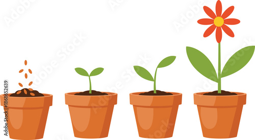 Cute plant growth stages illustration, seed sprout seedling and blooming flower in pots for education nature design vector