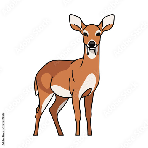 Isolated vector illustration of a cute brown baby deer cartoon standing on white, featuring a wild buck or fawn from the forest wildlife
