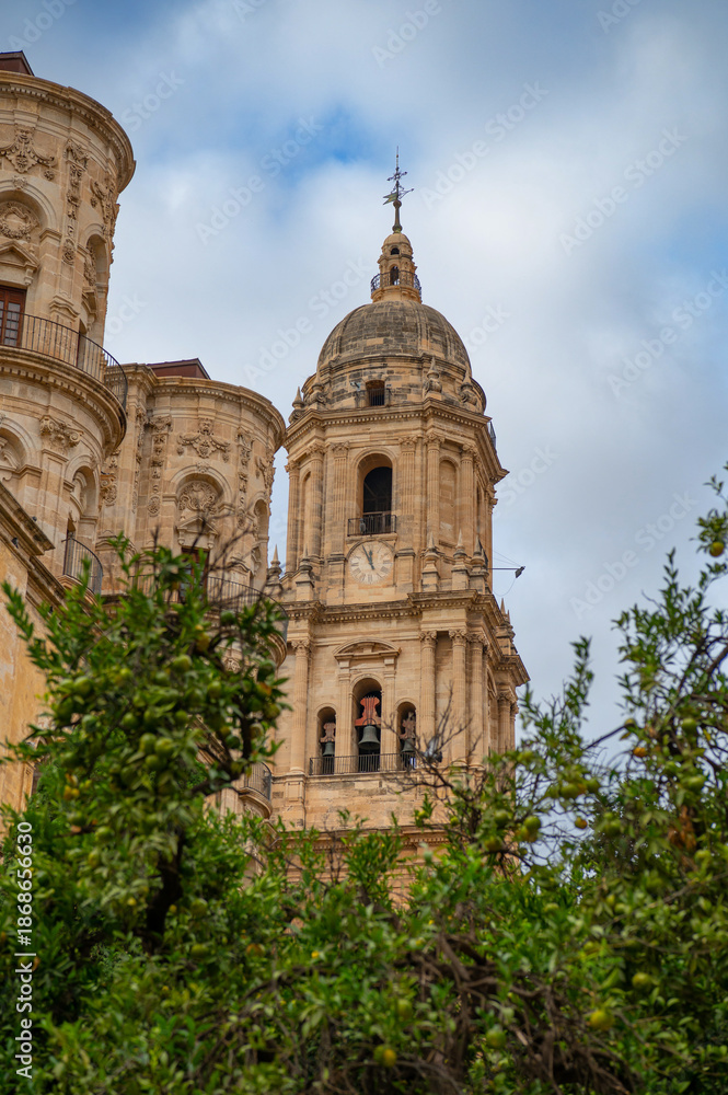 Obraz premium View of Cathedral of Málaga tower (Santa Iglesia Catedral Basílica de la Encarnación) with orange tree, Malaga, Andalusia, Spain. Roman Catholic church. Religious concept.