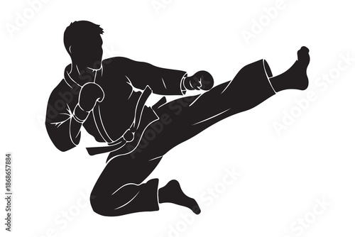 Dynamic silhouette of a martial artist executing a powerful high kick during training or competition Vector