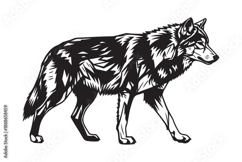 Stylized black and white illustration of a majestic wolf walking with determination Vector
