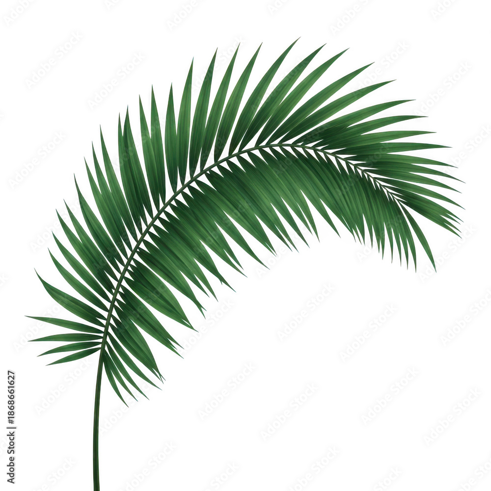 Obraz premium Vibrant green palm frond branch isolated on transparent background