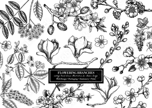 Vintage spring background in sketch style. Blooming trees design. Flowering branches hand drawn vector illustration. NOT AI generated