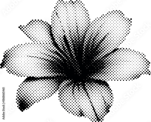 A black and white halftone image of a flower