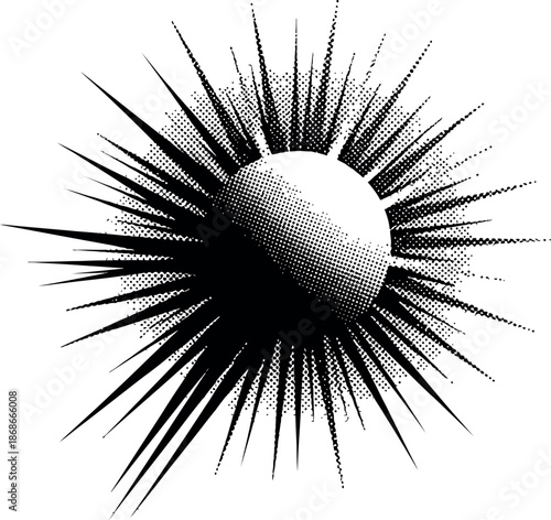 A black and white illustration of a prickly seed or spore