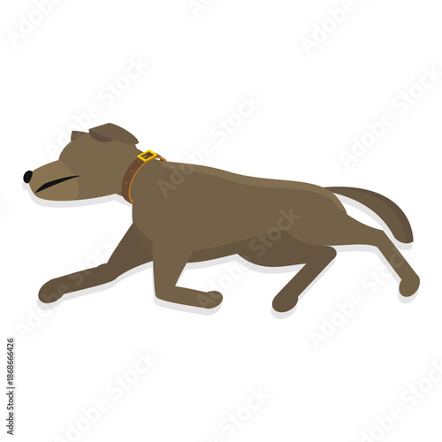3D Isometric Flat Vector Illustration of Sleeping Pets, Adorable Sleeping Pets Collection Featuring Cats And Dogs. Item 5