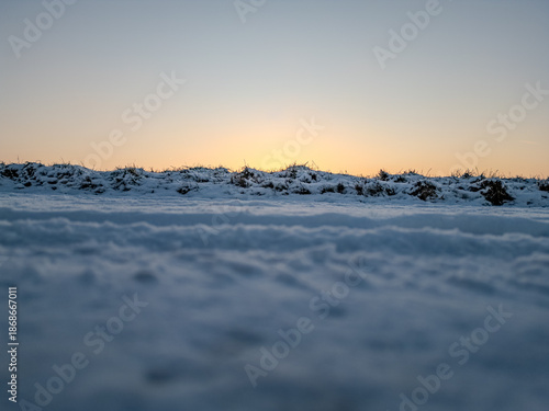 Wallpaper Mural Snowy Field at Sunrise Torontodigital.ca