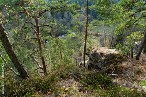 Aussicht von den Rabensteinen in der Sächsischen Schweiz in das Kirnitzschtal