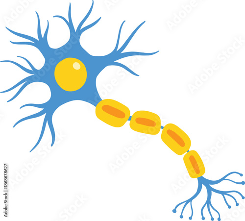 Neuron cell with dendrites and axon terminals isolated on transparent background