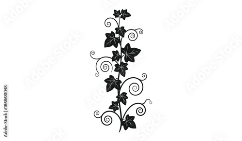A delicate black and white illustration depicts a trailing ivy vine with curled tendrils and heart shaped leaves showcasing organic botanical design