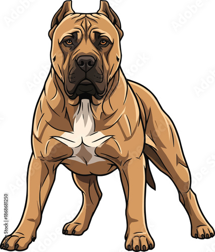 Perro de Presa Canario dog standing focused alert protective stance
