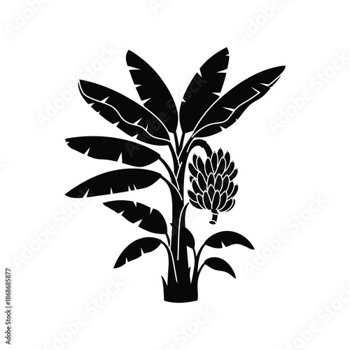 A banana plant with banana silhouette vector art illustration