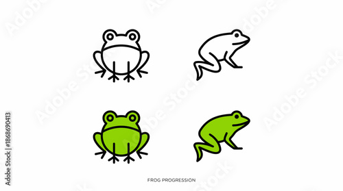 Frog Anatomy Vector Set Featuring Front and Side Views in Outline and Color for Educational, Biological, and Design Projects