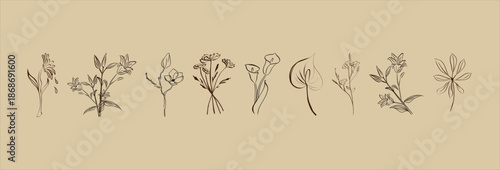 Minimalistic botanical graphic sketch drawing, trendy tiny tattoo design, floral elements vector hand drawn illustration