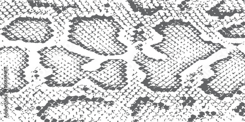 A detailed abstract monochrome illustration of a snakeskin pattern texture for background use