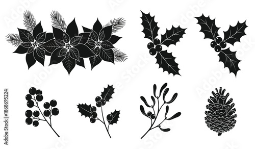 A detailed black and white botanical illustration showcases various festive elements including poinsettias holly berries mistletoe and a pinecone high quality