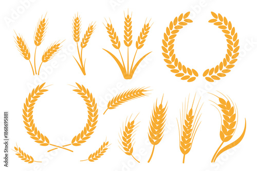 Wheat Ear Icons and Agricultural Design Elements, harvested wheat grains, growing rice stalks, whole cereal crops, bread grain nutrition concept.