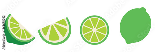 Fresh Green Lime Fruit Vector Set – Whole Limes, Slices, Wedges and Halves with Leaves 
Isolated on White Background