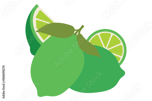 Fresh Green Lime Fruit Vector Set – Whole Limes, Slices, Wedges and Halves with Leaves 
Isolated on White Background