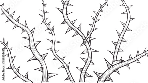 Detailed black and of thorny branches with sharp spikes