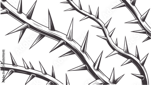 Detailed monochrome of sharp thorny branches intertwined