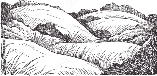 Detailed monochrome pen and ink landscape with rolling hills and grass