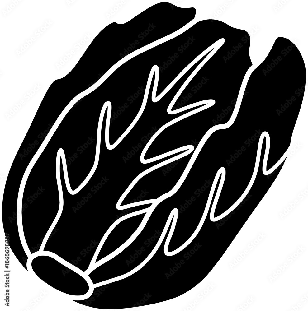 Obraz premium 배추