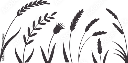 Minimalist black wheat and grass stalks