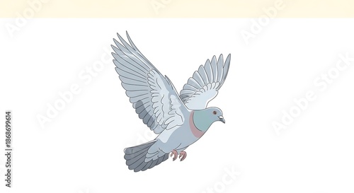 A single pigeon in graceful flight against a clean white background, symbolizing freedom and peace.