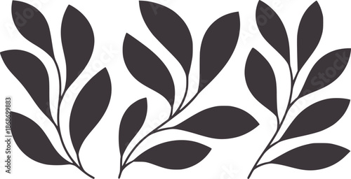 Three minimalist dark gray leaf branches