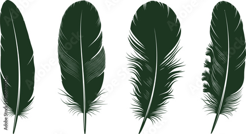 Vector silhouette illustration set of four different dark green bird feathers with detailed barbs and quills isolated on a white background.