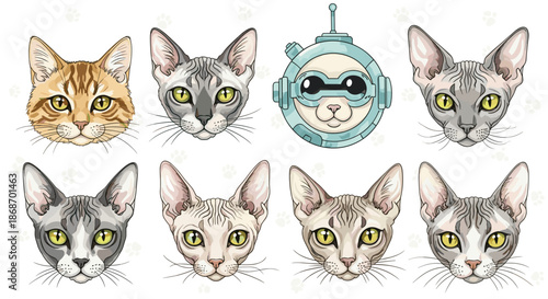 Collection of detailed cat face illustrations of various breeds including one cat wearing a futuristic astronaut helmet.
