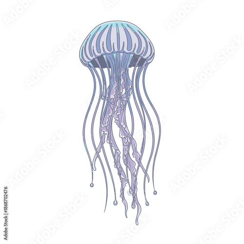 Blue Jellyfish with Long Tentacles.