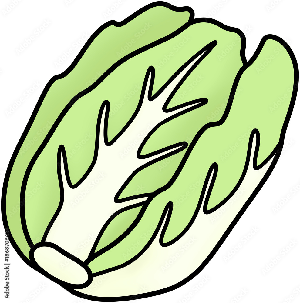 Obraz premium 배추