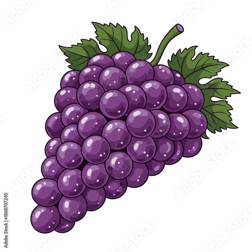 Bunch of Purple Grapes with Leaves.