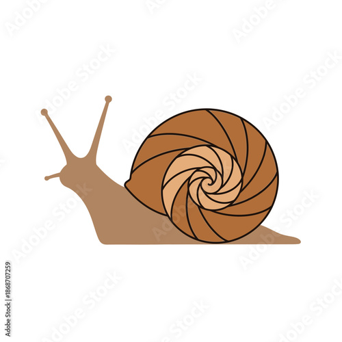 Brown Snail Shell Illustration Art.