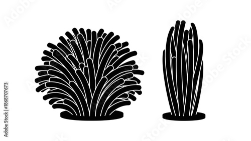 A black and white illustration of two stylized plants on a plain background