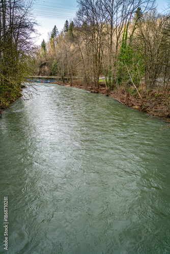 Cedar River Landscape 3