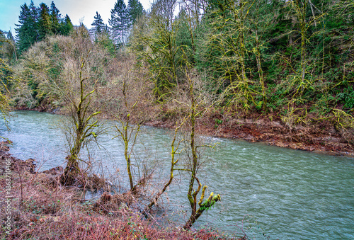 Renton Winter River 2